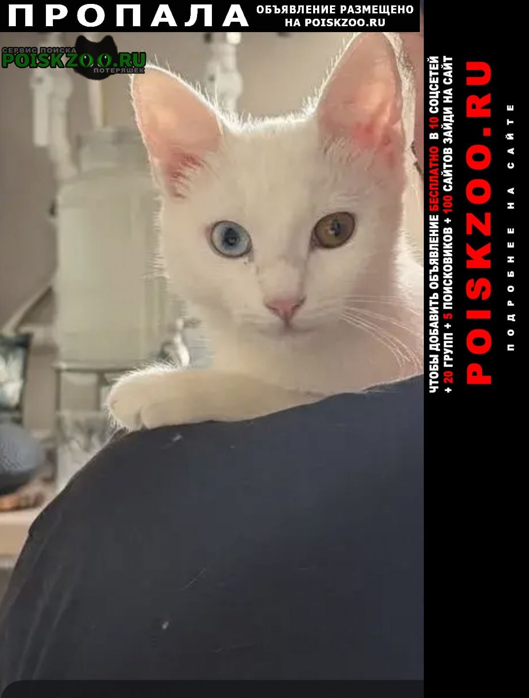 ���� ������� ����� �������� ����� ����������