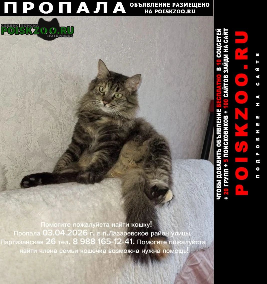 ���� ������� ����� �������� ����� ����� �����