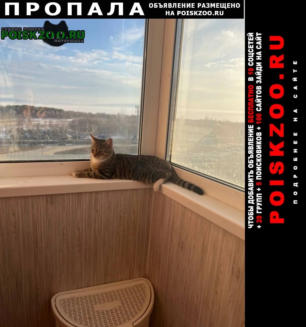 ���� �������� �����