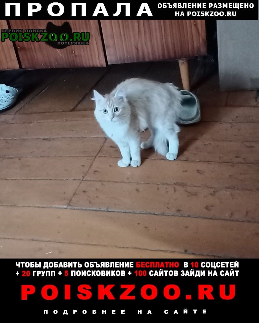 ���� ������ ���