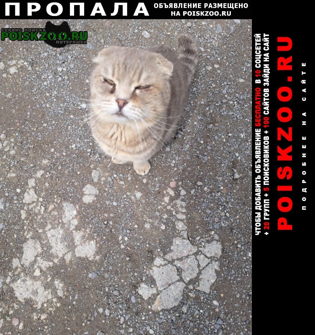 ���� ������� �����