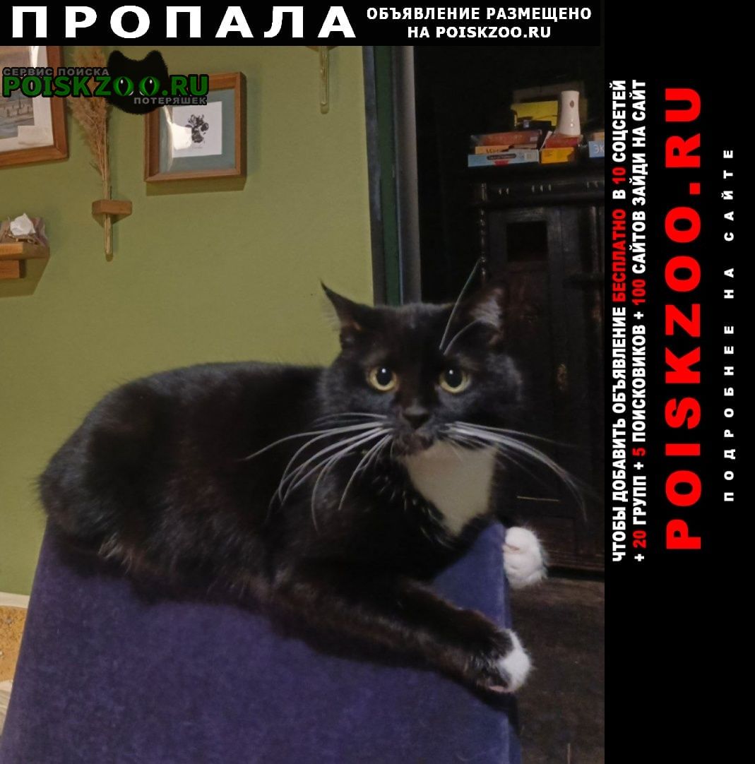 ���� ������� ����� ��������� - ������ �������, ��������� 5