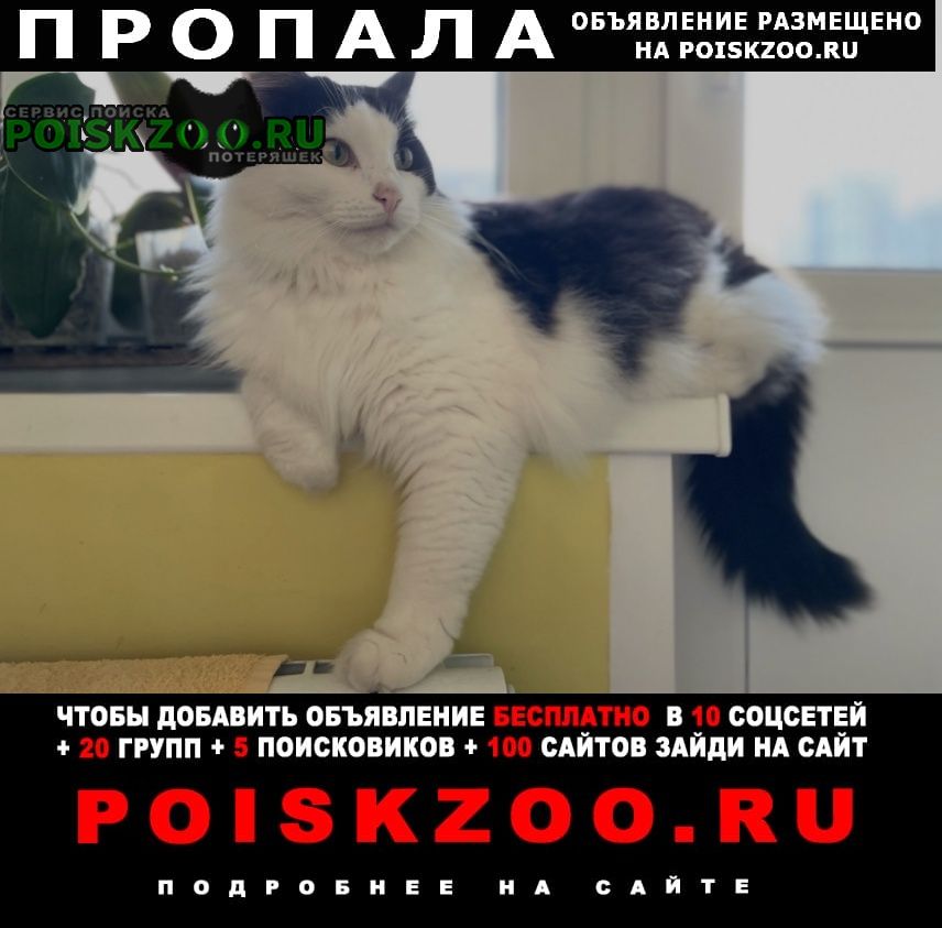 ���� ������� ����� ��� (�����������)