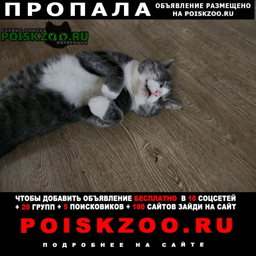 ���� ������ ���