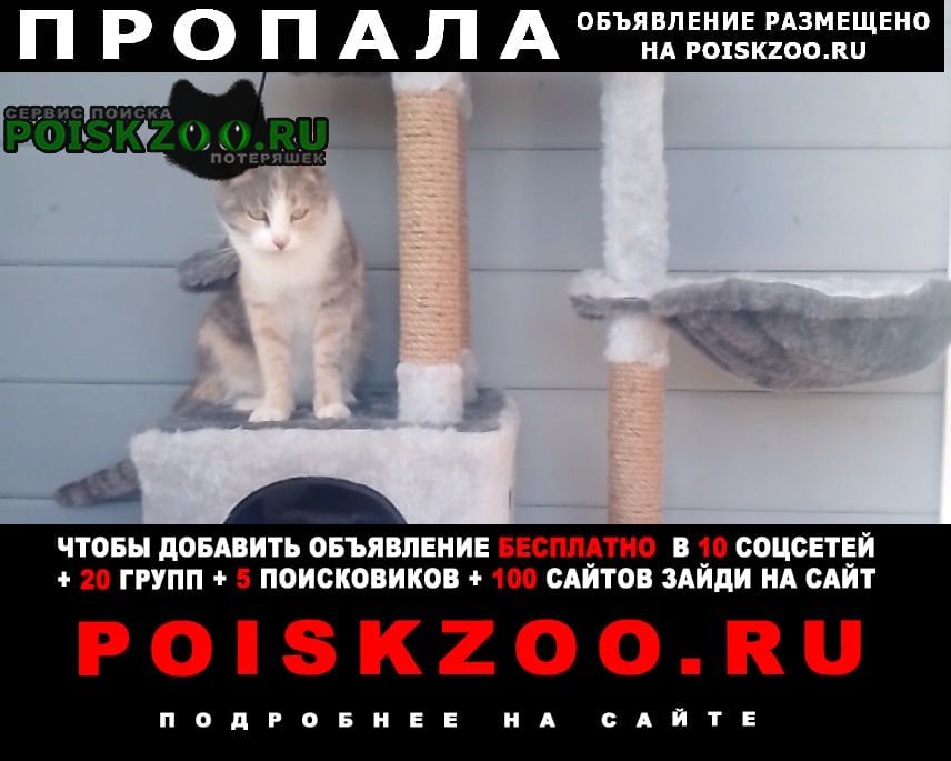 ���� ������� ����� �����