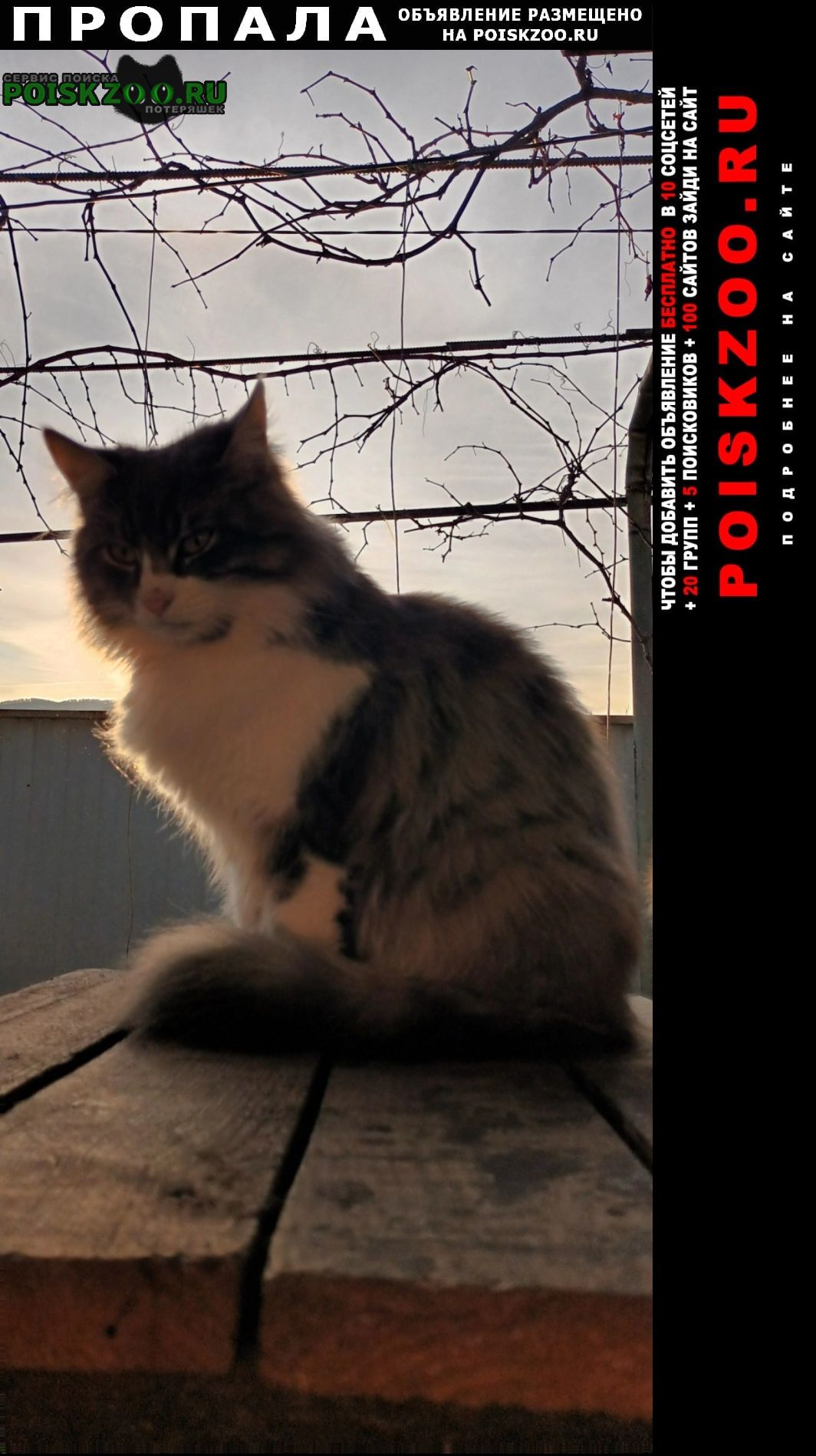 ���� ������ ���