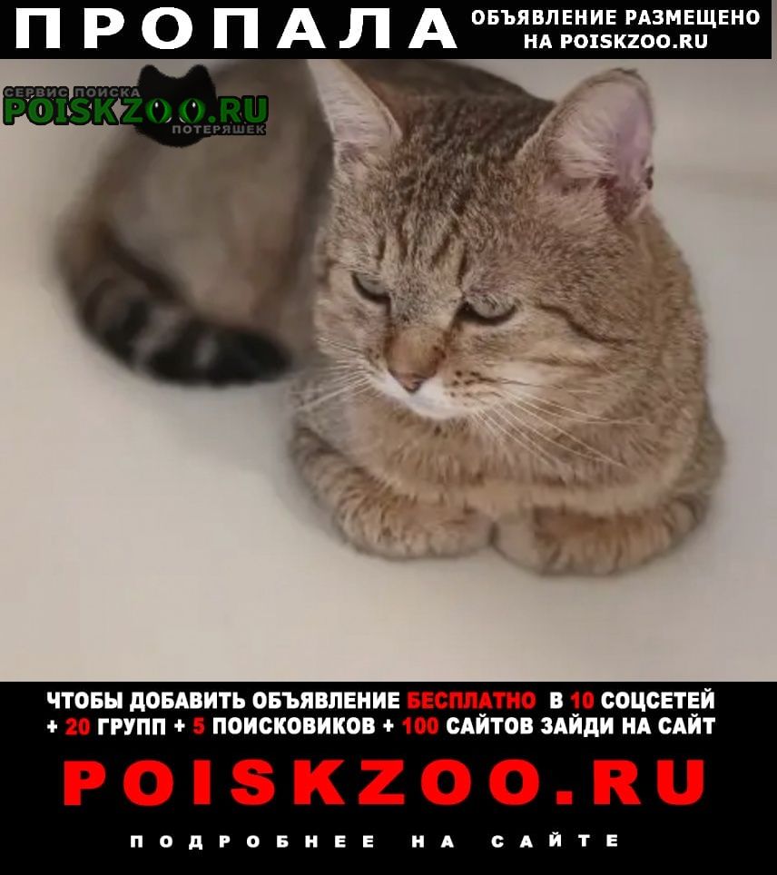 ���� ������ ���