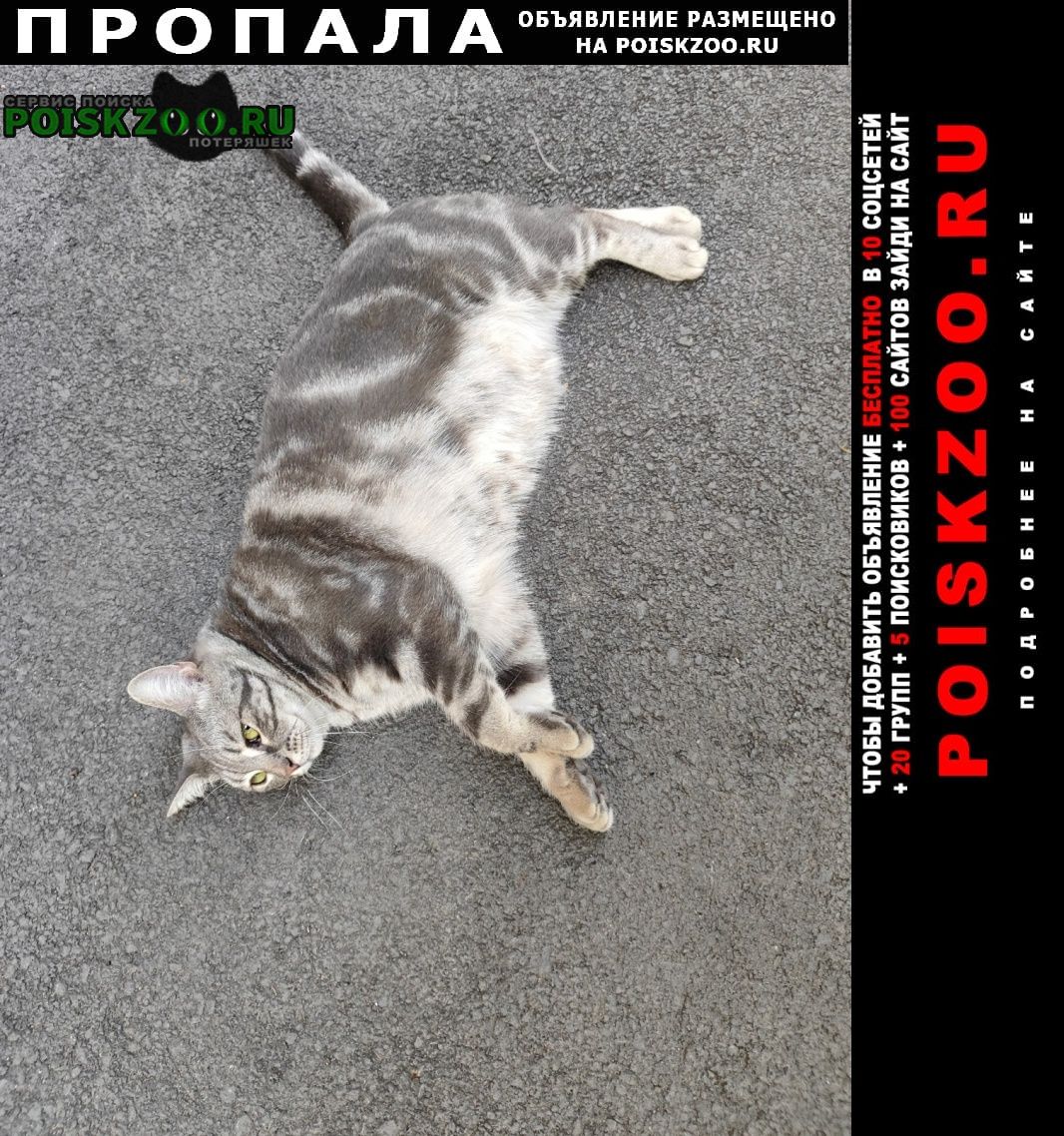 ���� ������� �����