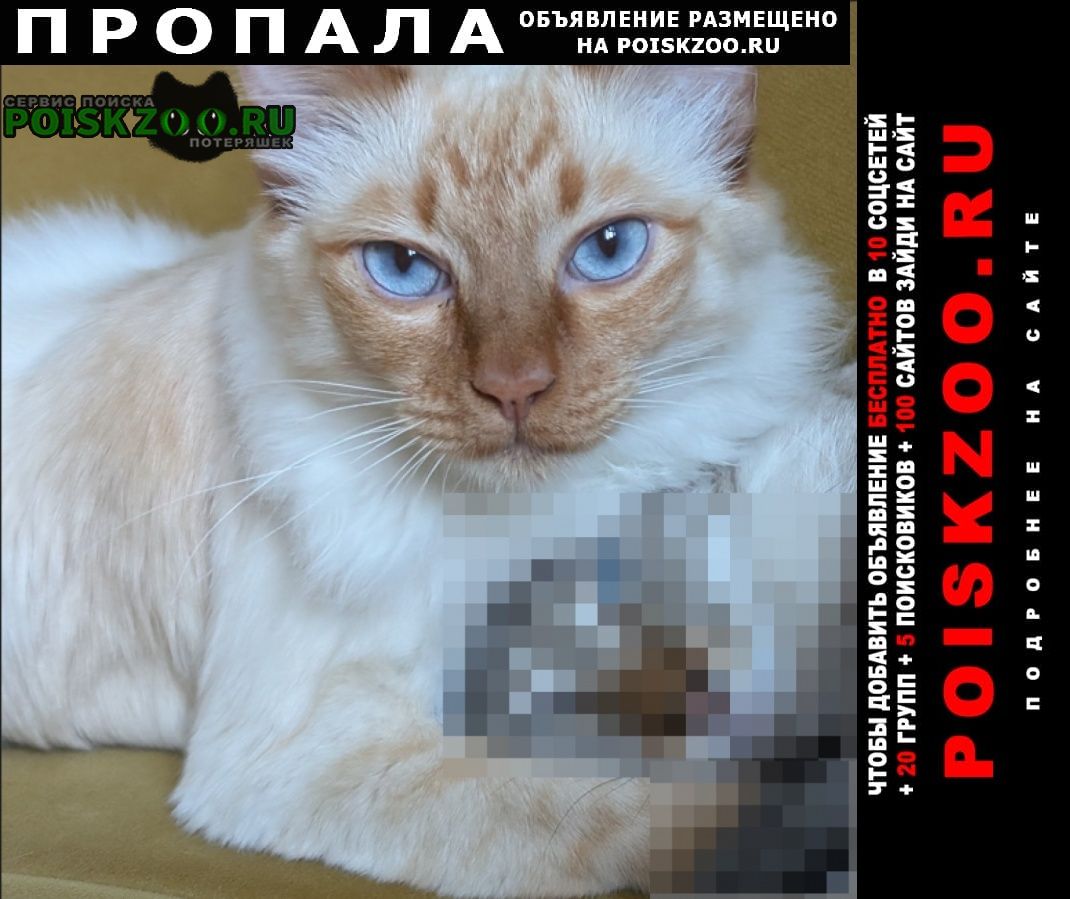 ���� ������� �����