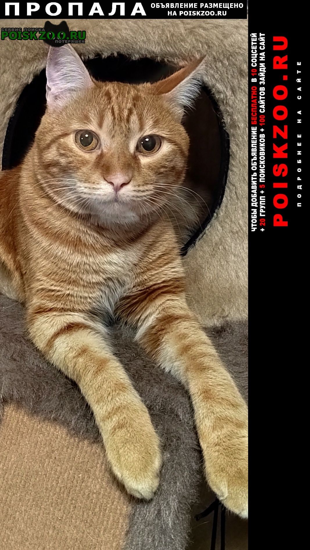 ���� ������ ��� ����� ��������� ���