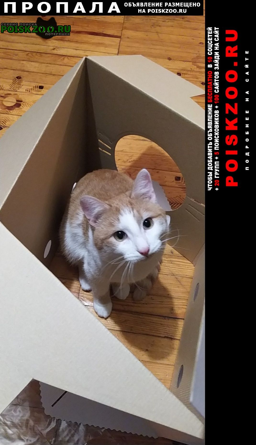 ���� �������� ����� ��� ������