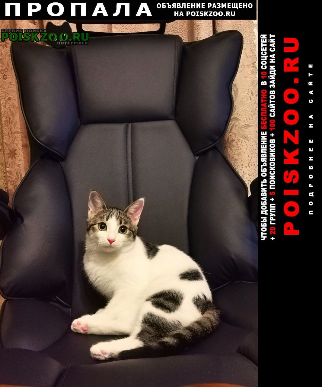 ���� ������� ����� ����� �������