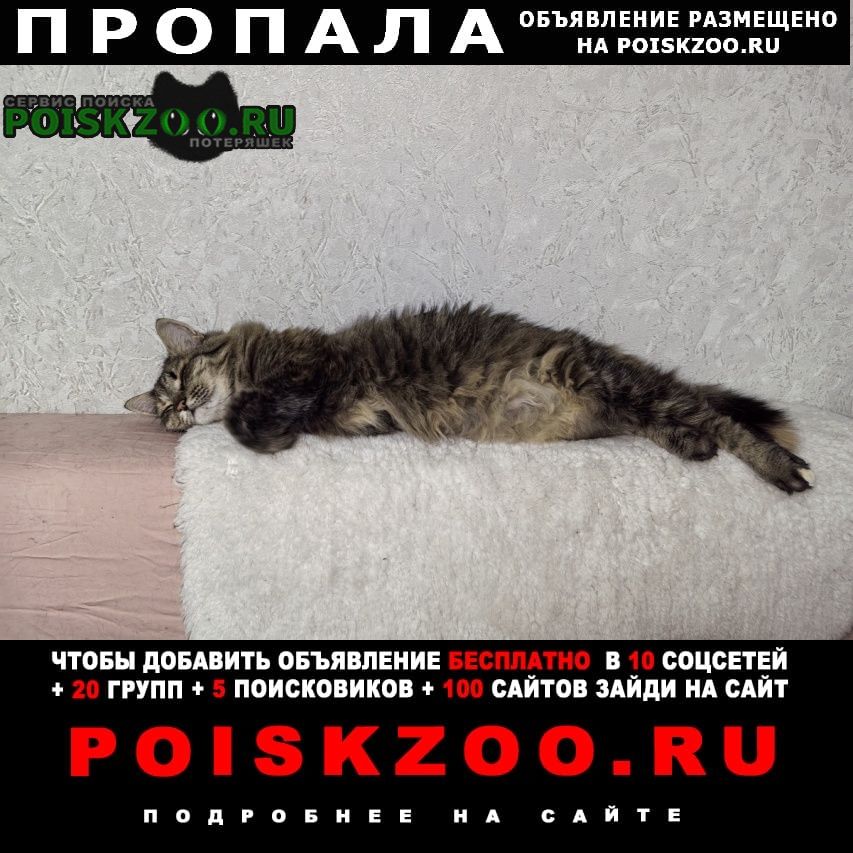 ���� ������� ����� ������� �������� ��� 10 ���� ����������