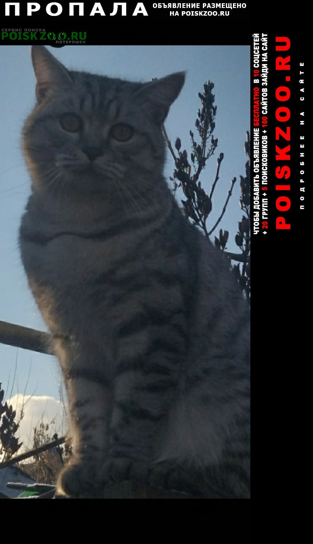 ���� ������ ���