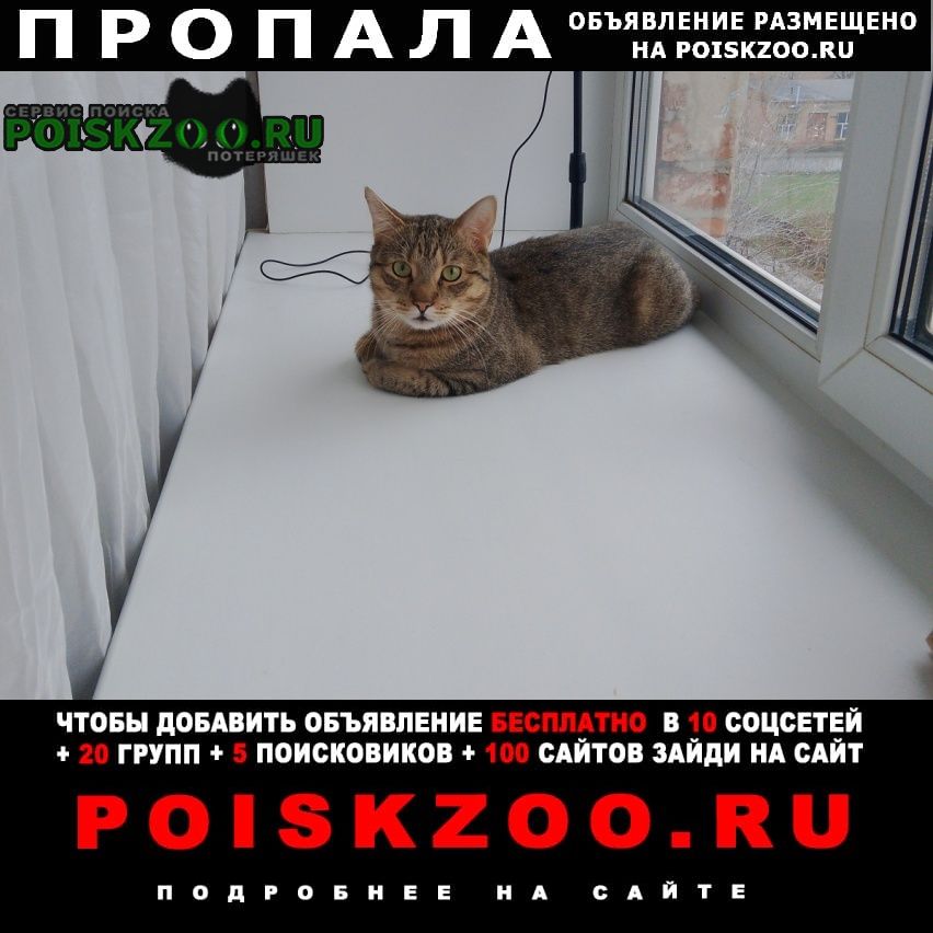 ���� ������ ����� ������ ����