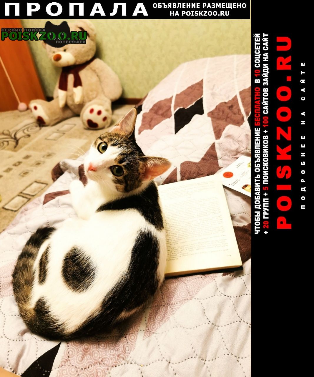 ���� ������� ����� ����