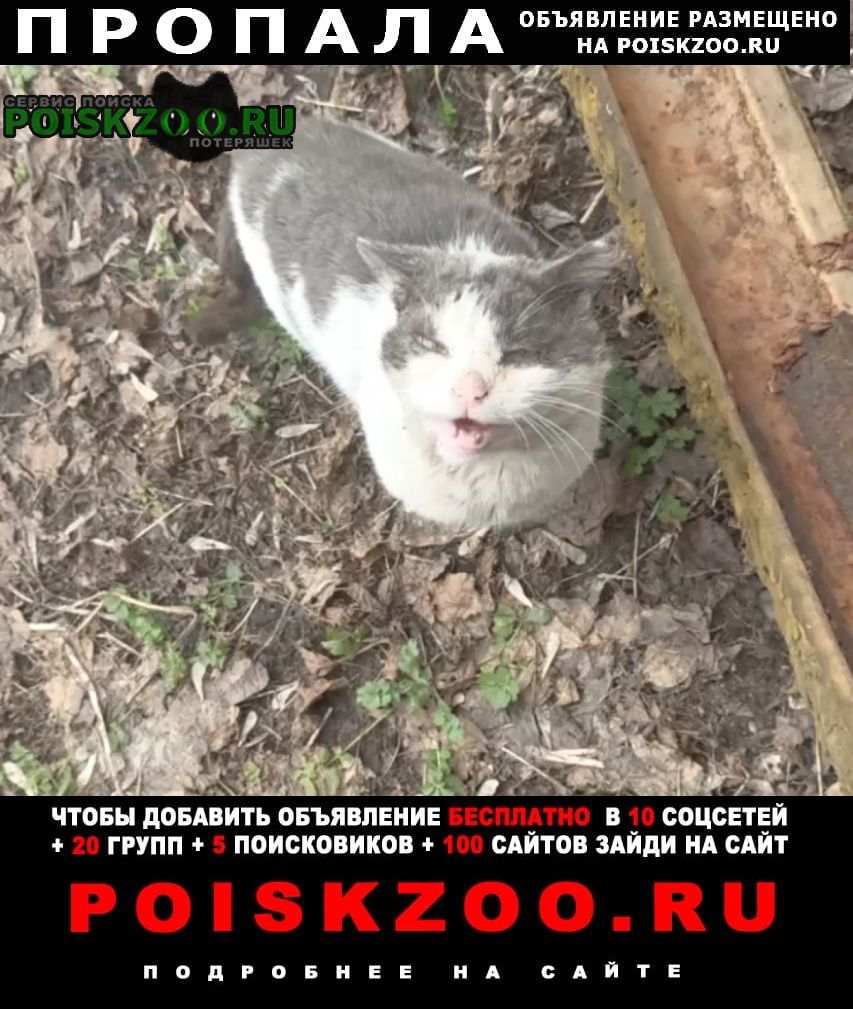 ���� ������� �����