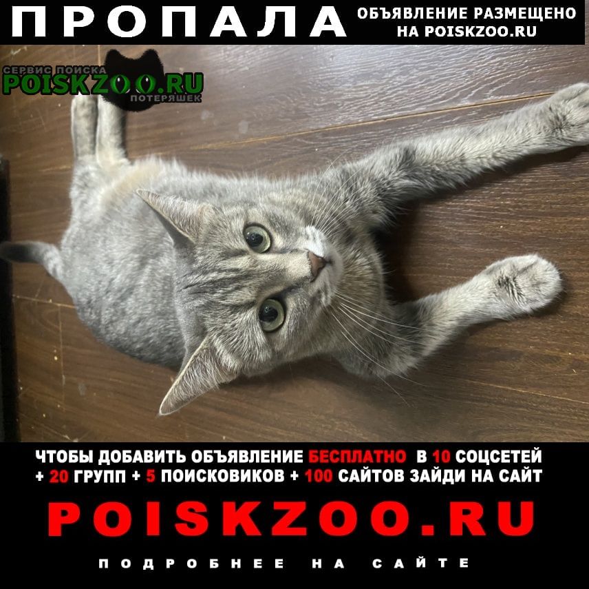 ���� ������� ����� ������� ��� �����������