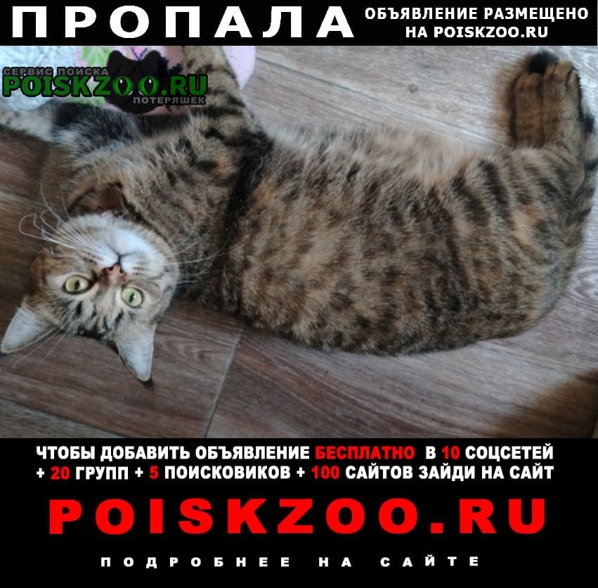 ���� ������� ����� �������