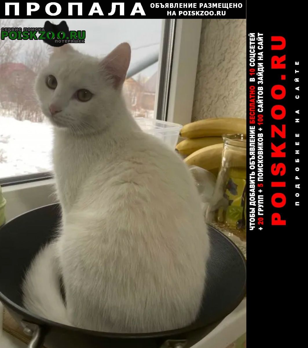 ���� ������ ���, �� ������ ����