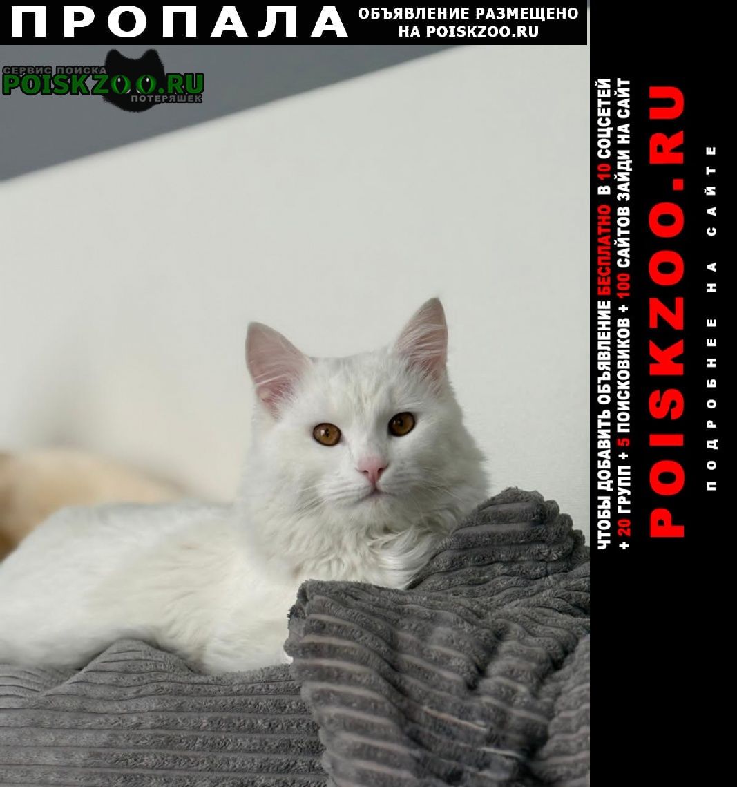 ���� ������ ���