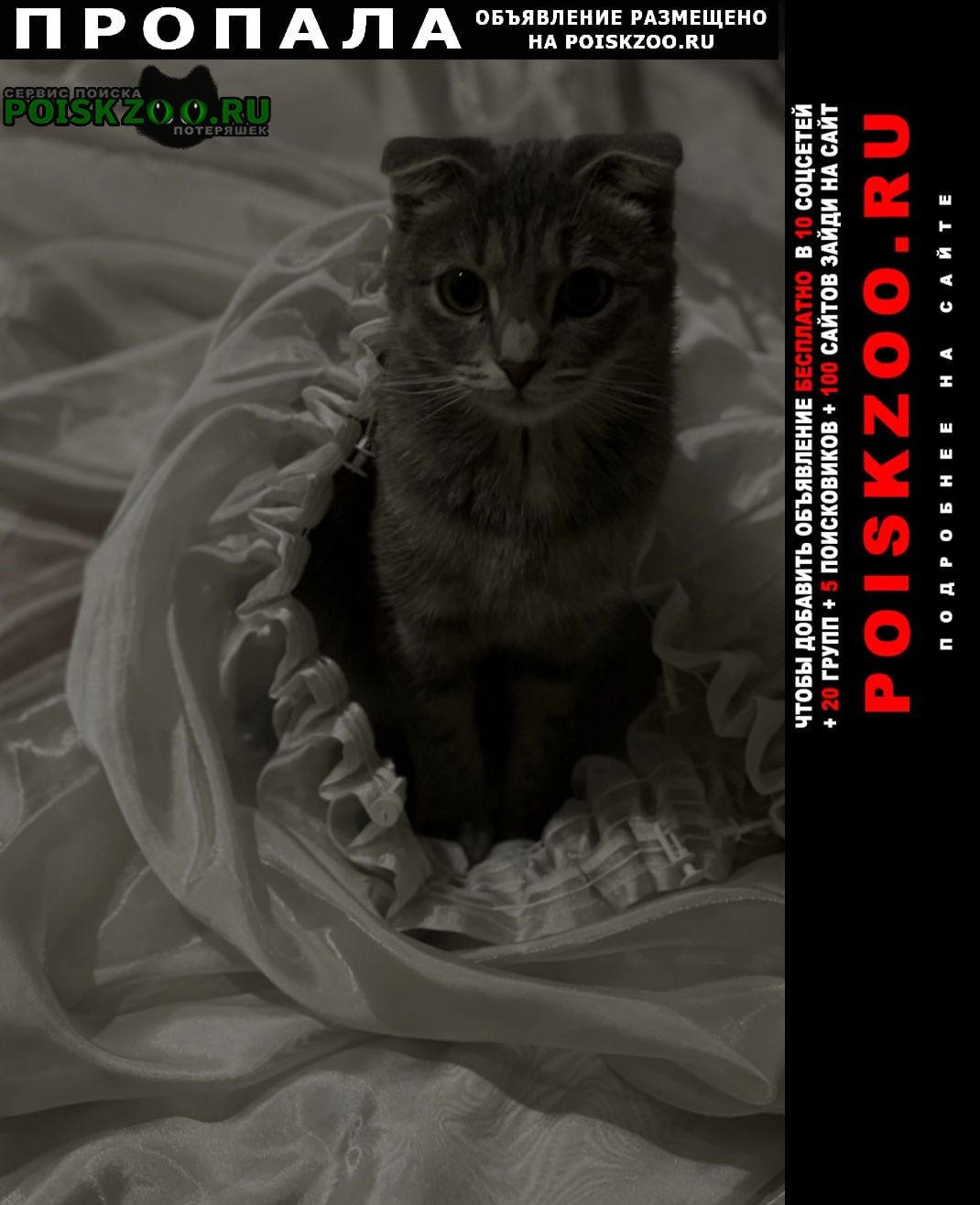 ���� �������� ����� ������� ����� �����, ���������