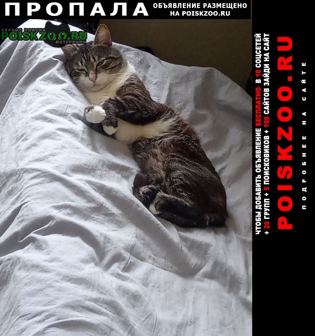 ���� �������� �����