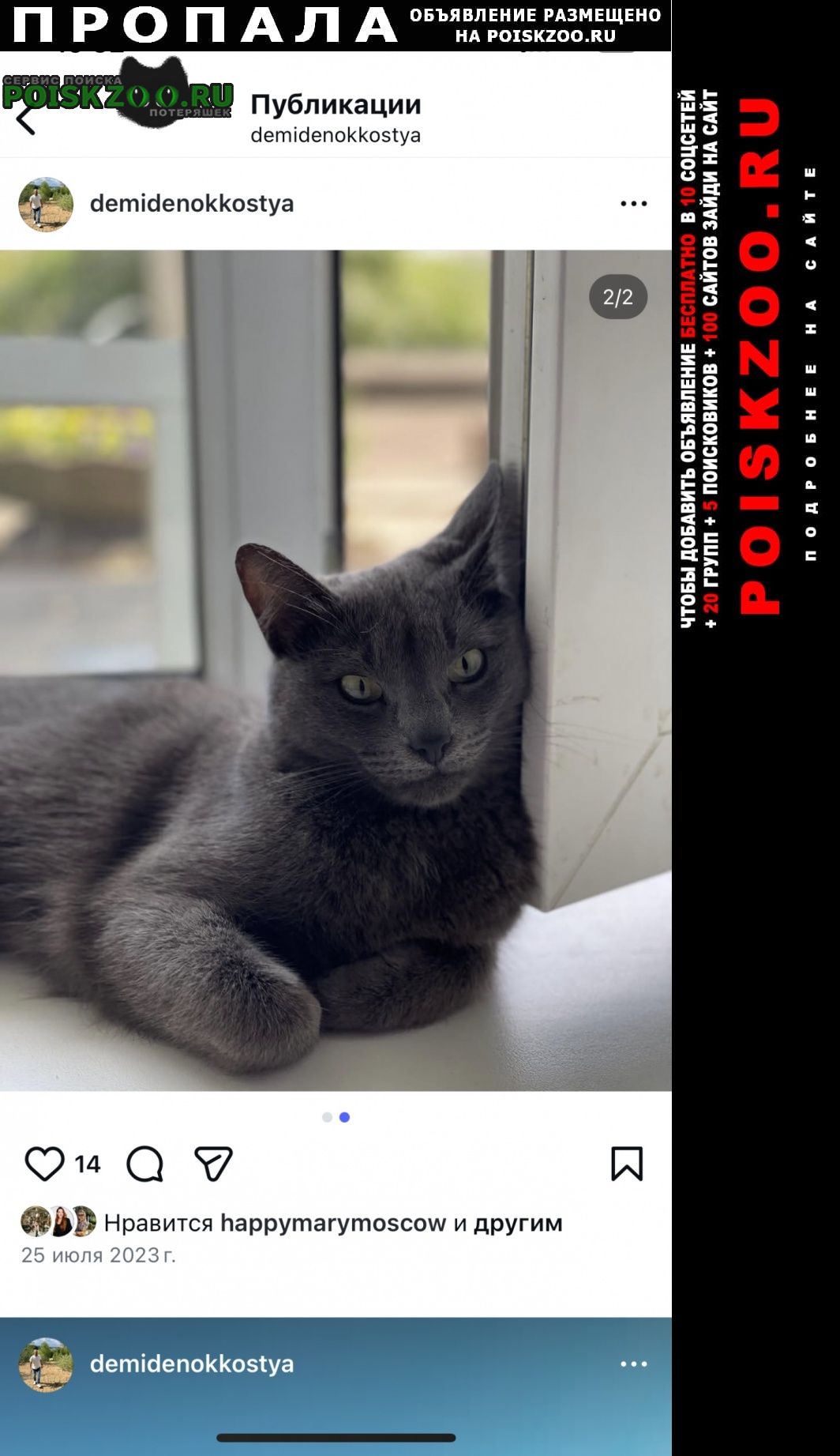 ���� �������� ����� ������� �����