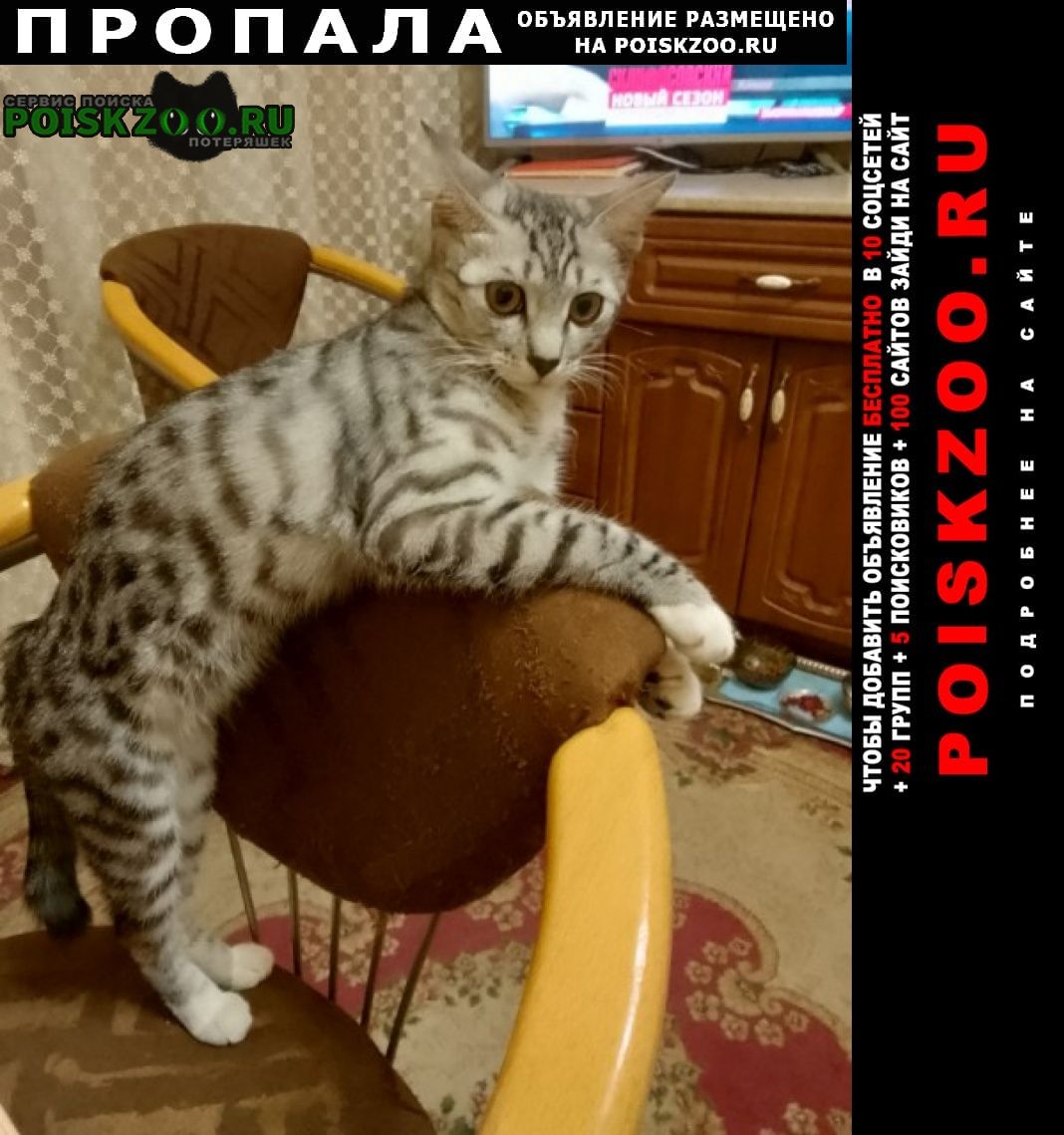 ���� ������� ����� �� ��������������