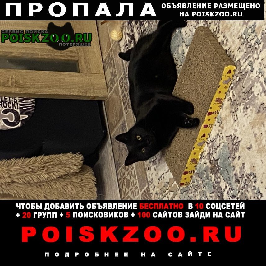 ���� ������� �����