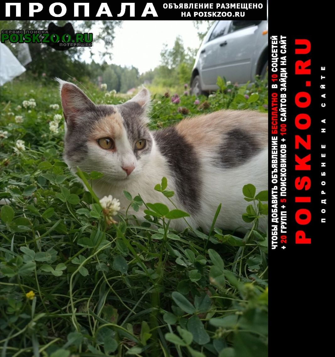 ���� ������� �����