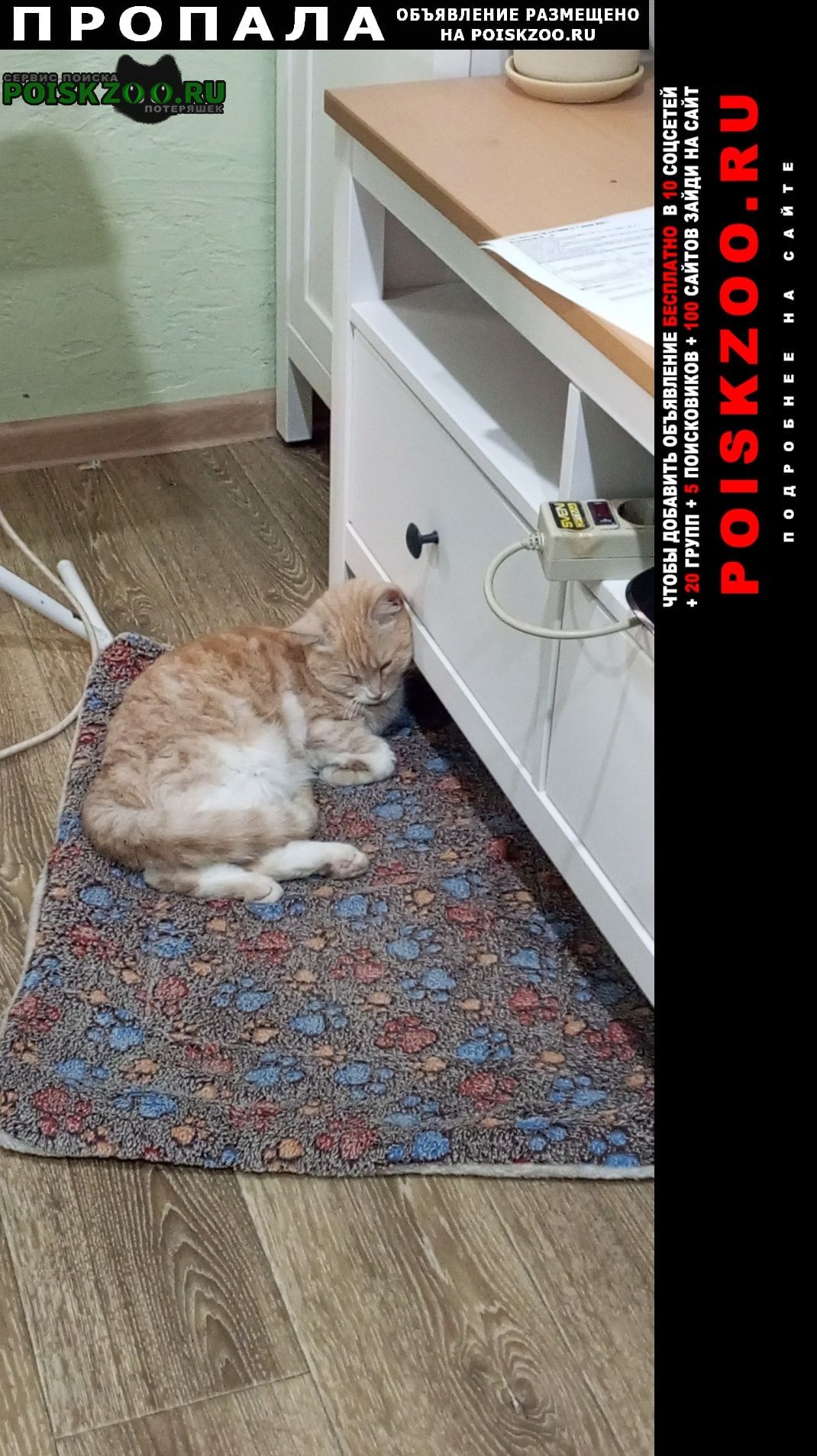 ���� ������� �����