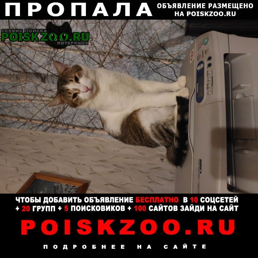 ���� �������� �����