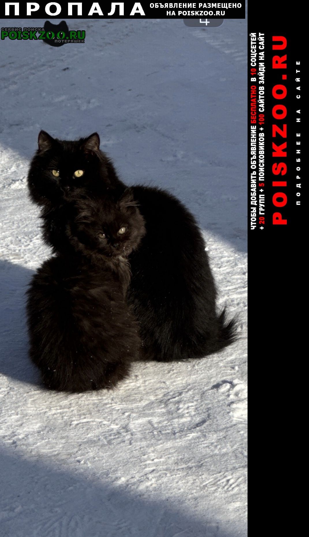 ���� ������ ������ � ������ ���������