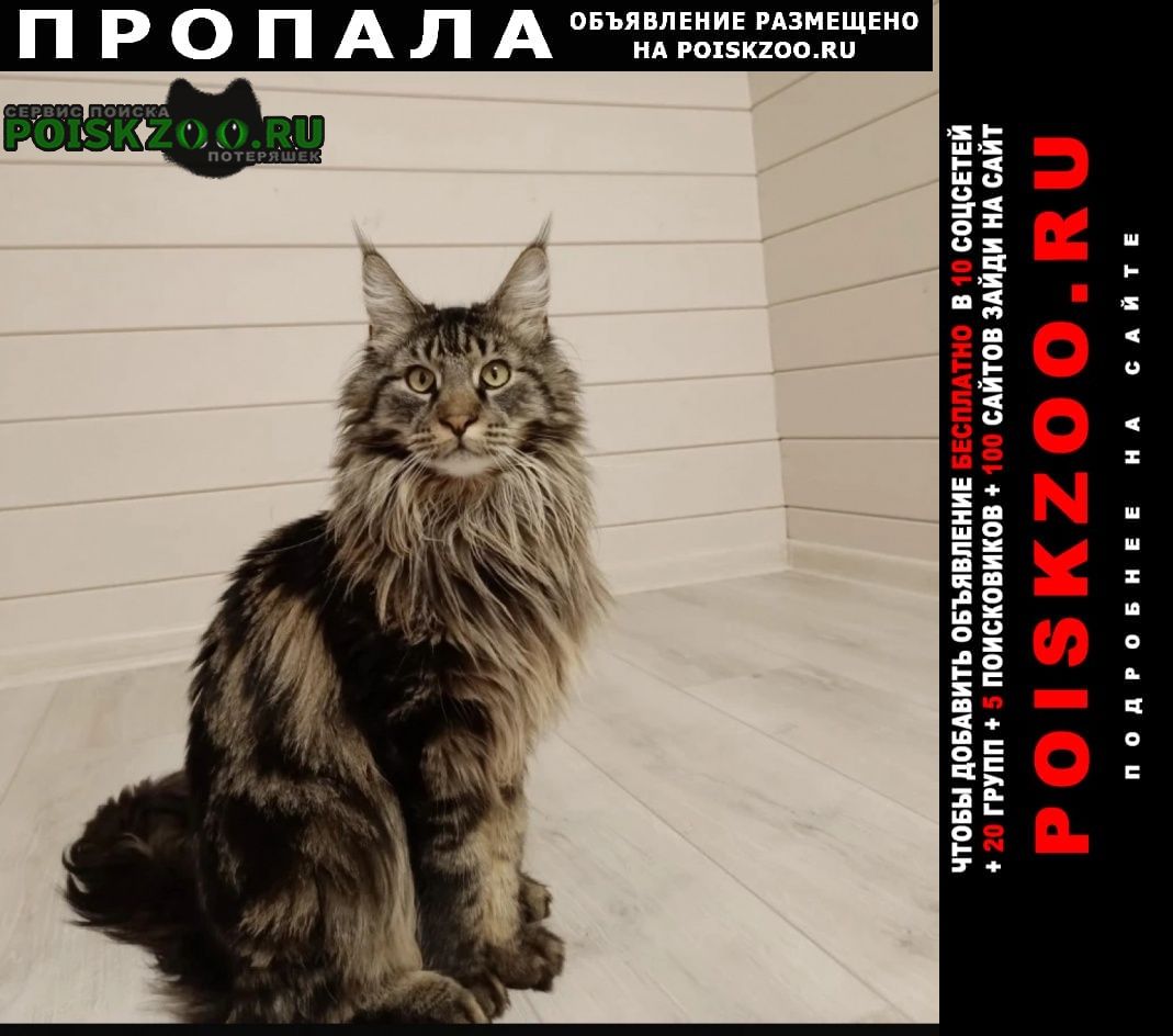 ���� ������ ���