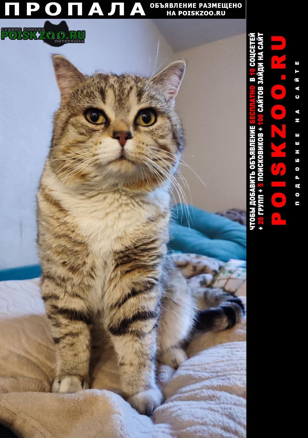 ���� ������ ���, ������� �����������