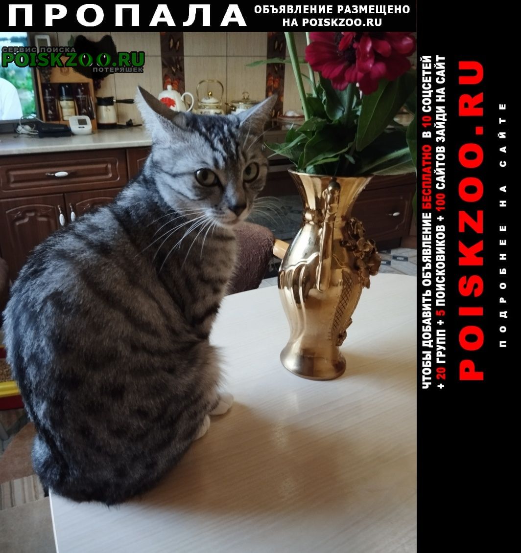 ���� ������� ����� �� ��������������