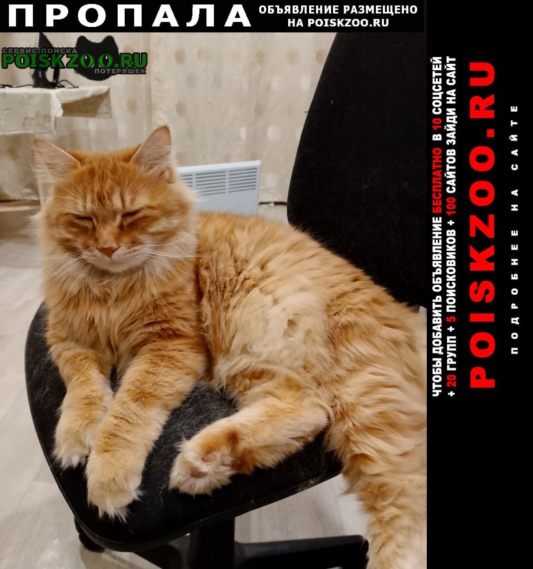 ���� ������ ���.