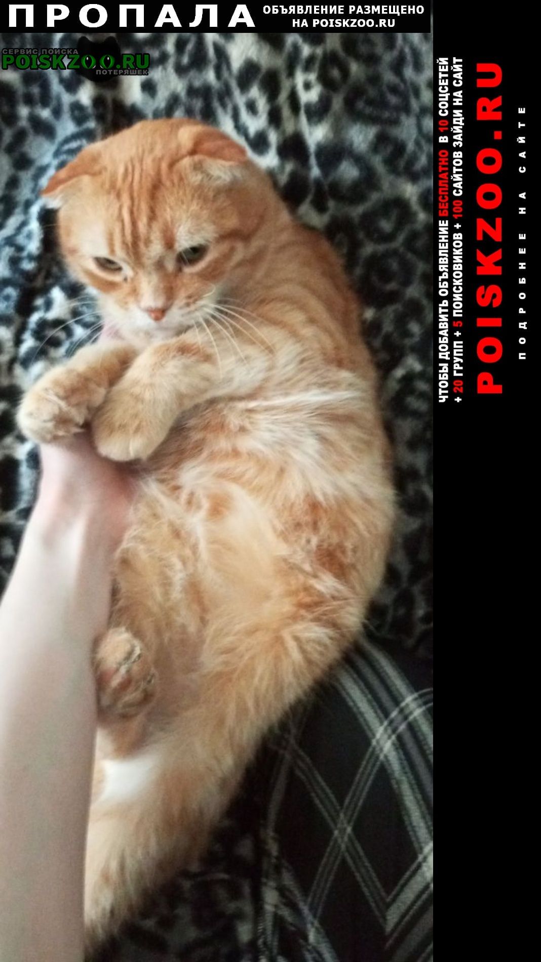 ���� ������ ���