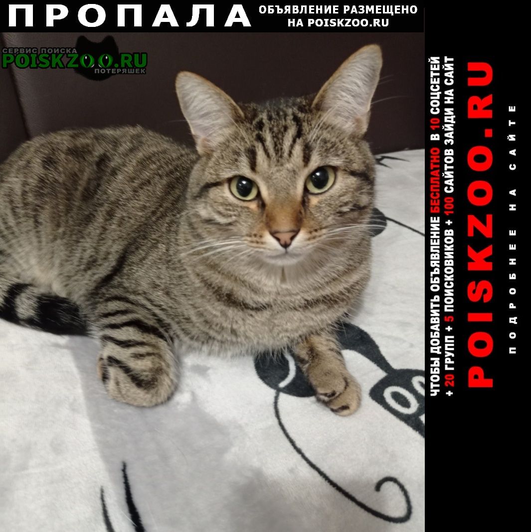 ���� ������ ���