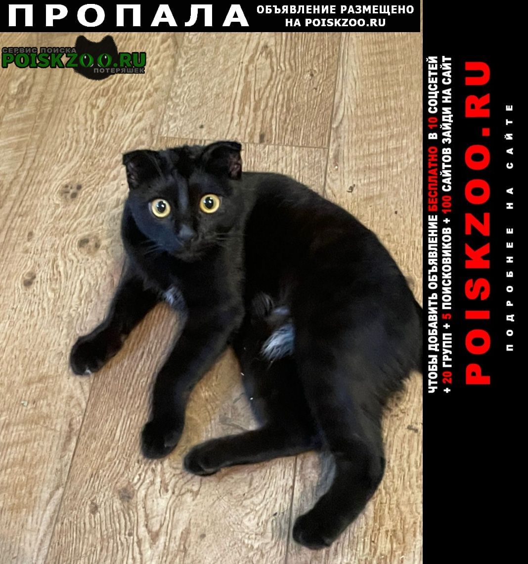 ���� ������� ����� ������