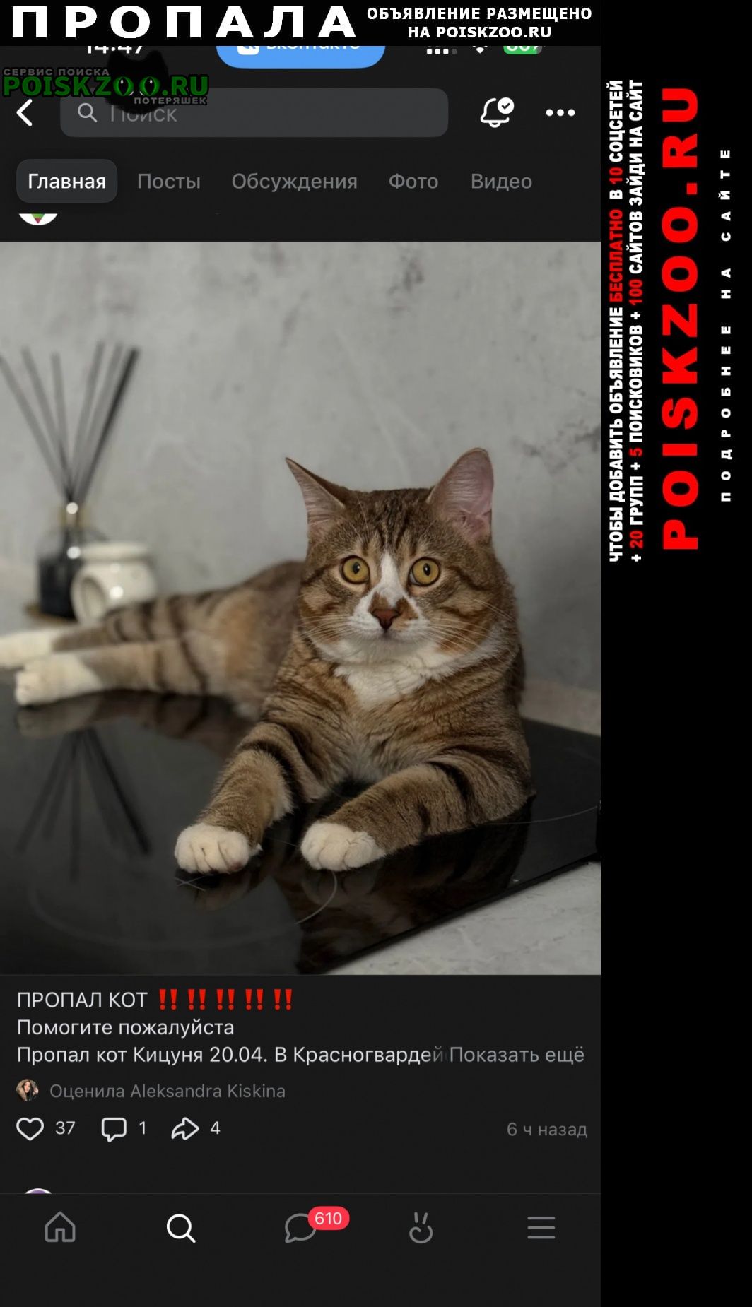 ���� ������ ���