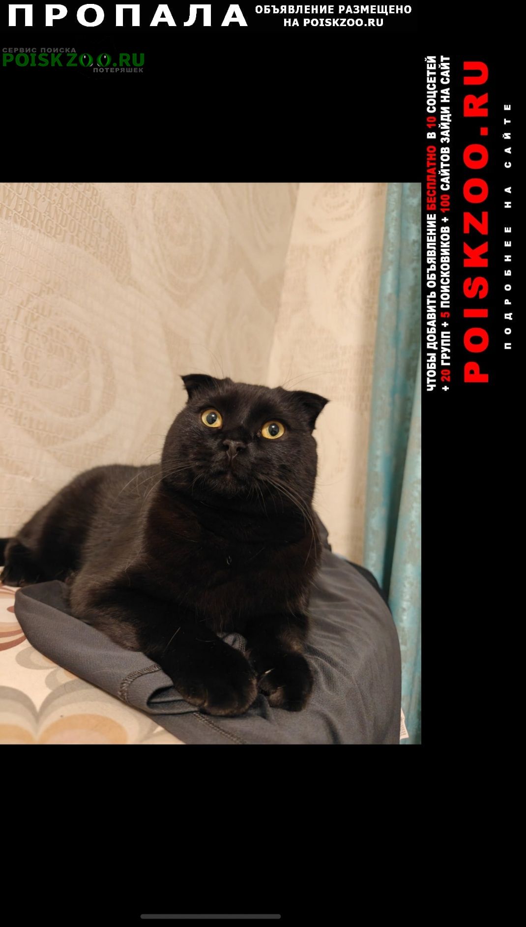 ���� ������ ���