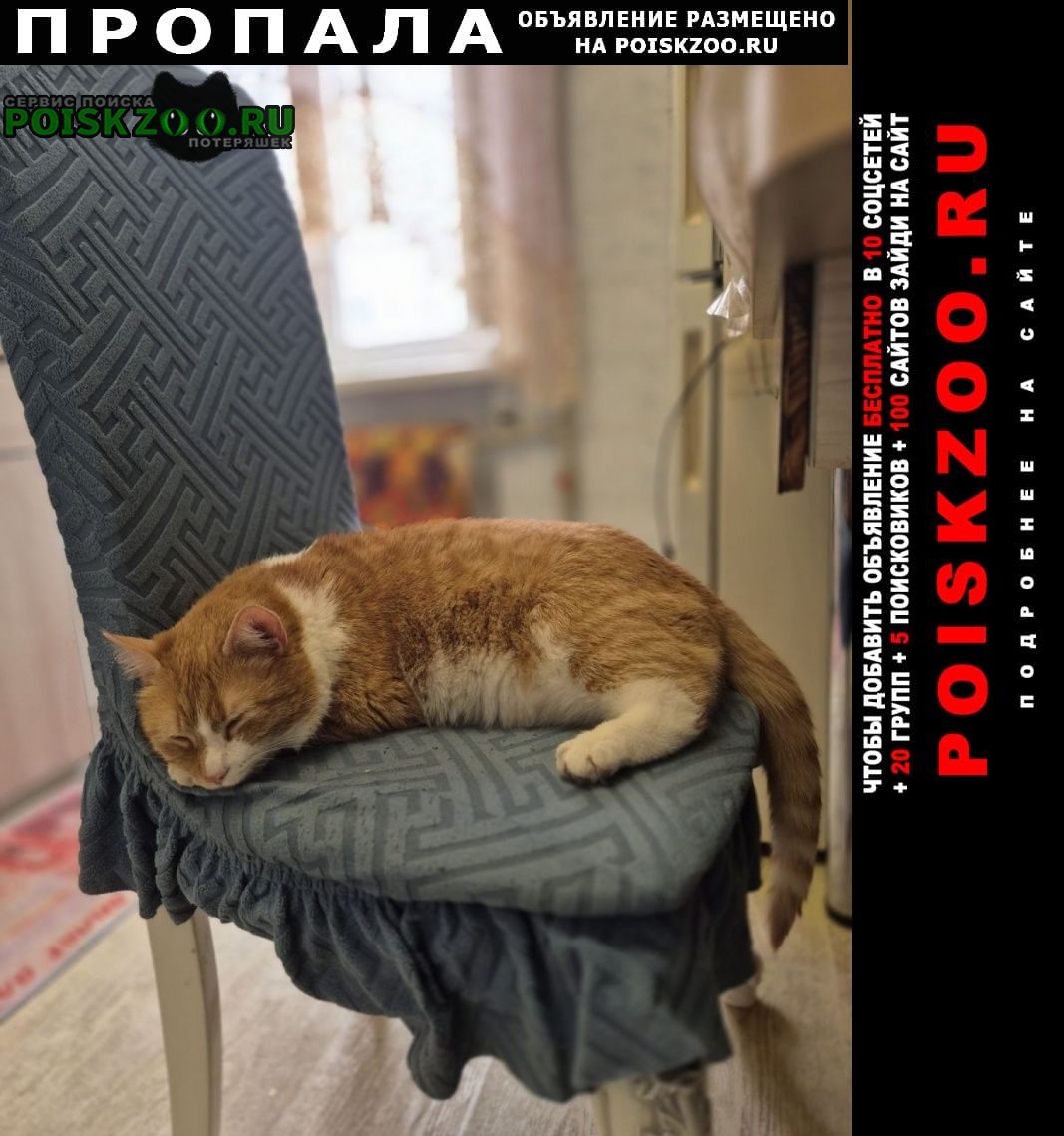 ���� ������ ���