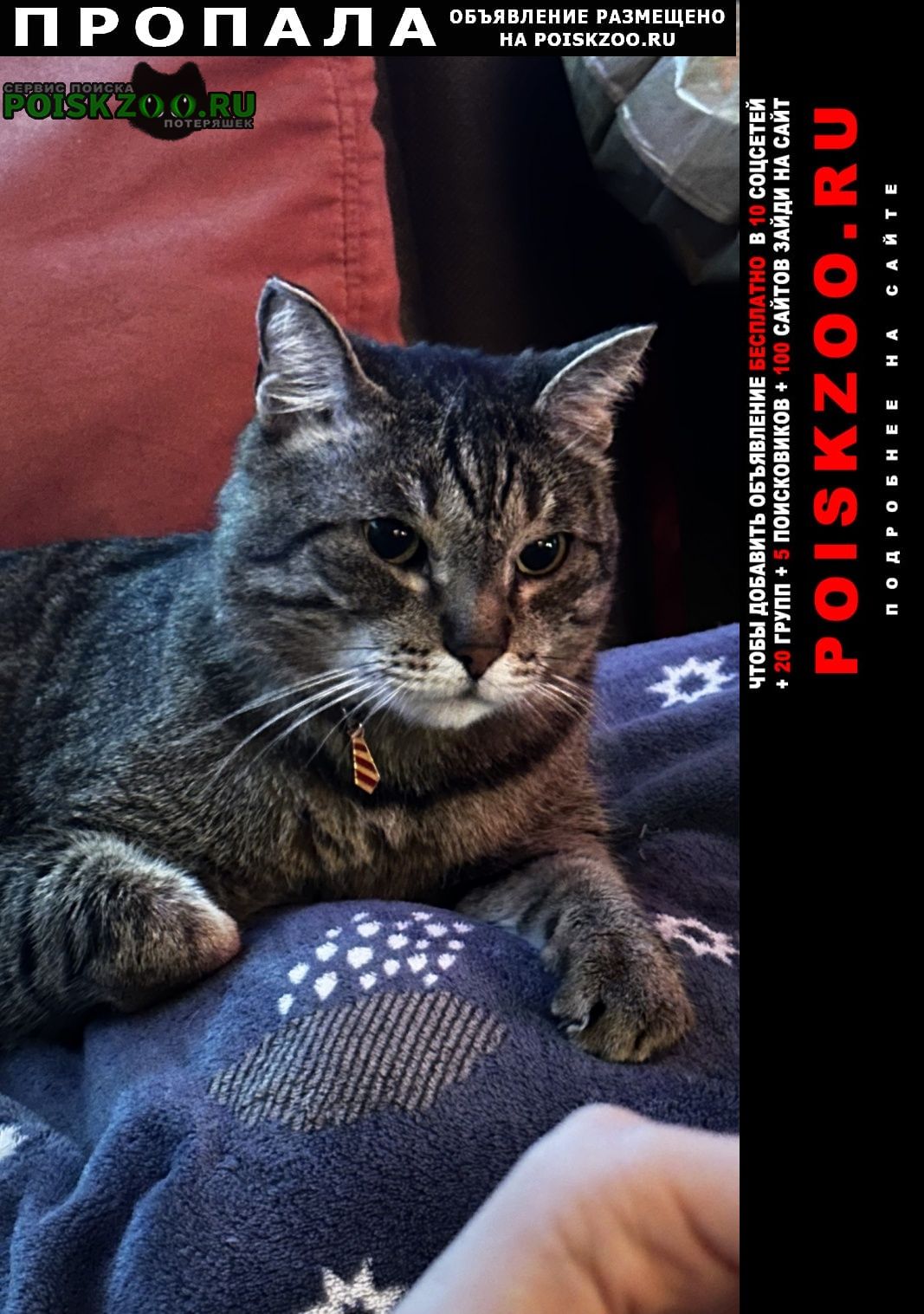 ���� ������ ��� ������� �����