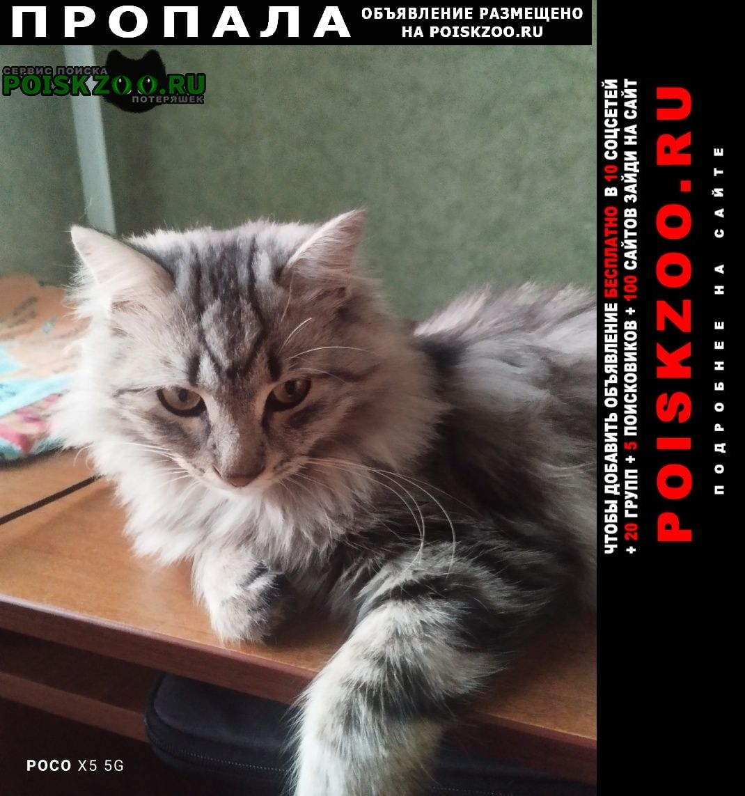 ���� ������ ���