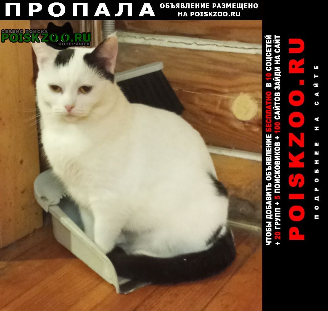 ���� ������� ����� ����� ����� � ������ �������