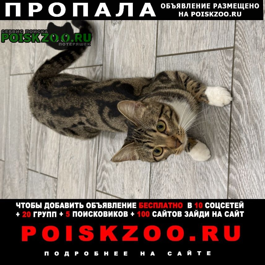 ���� ������� ����� ������� / �������