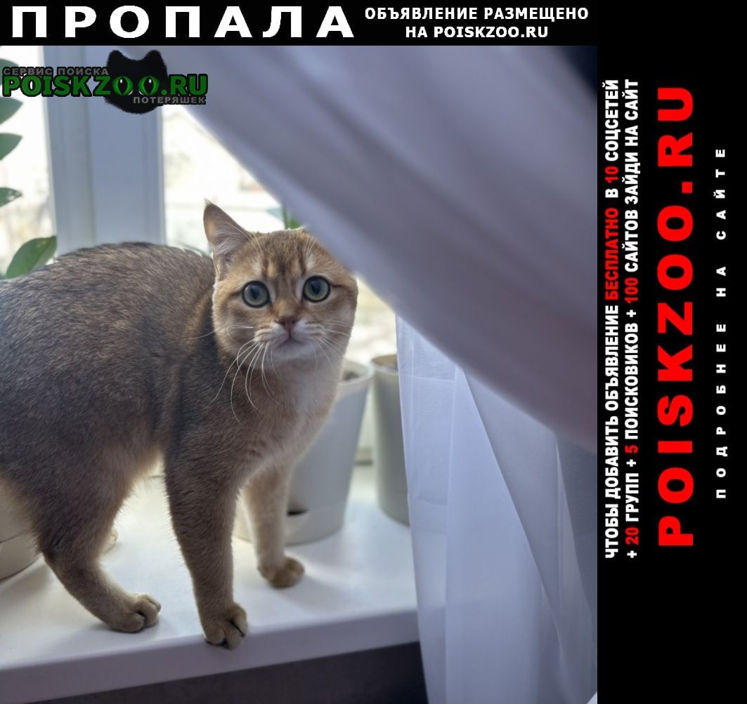 ���� ������ ���