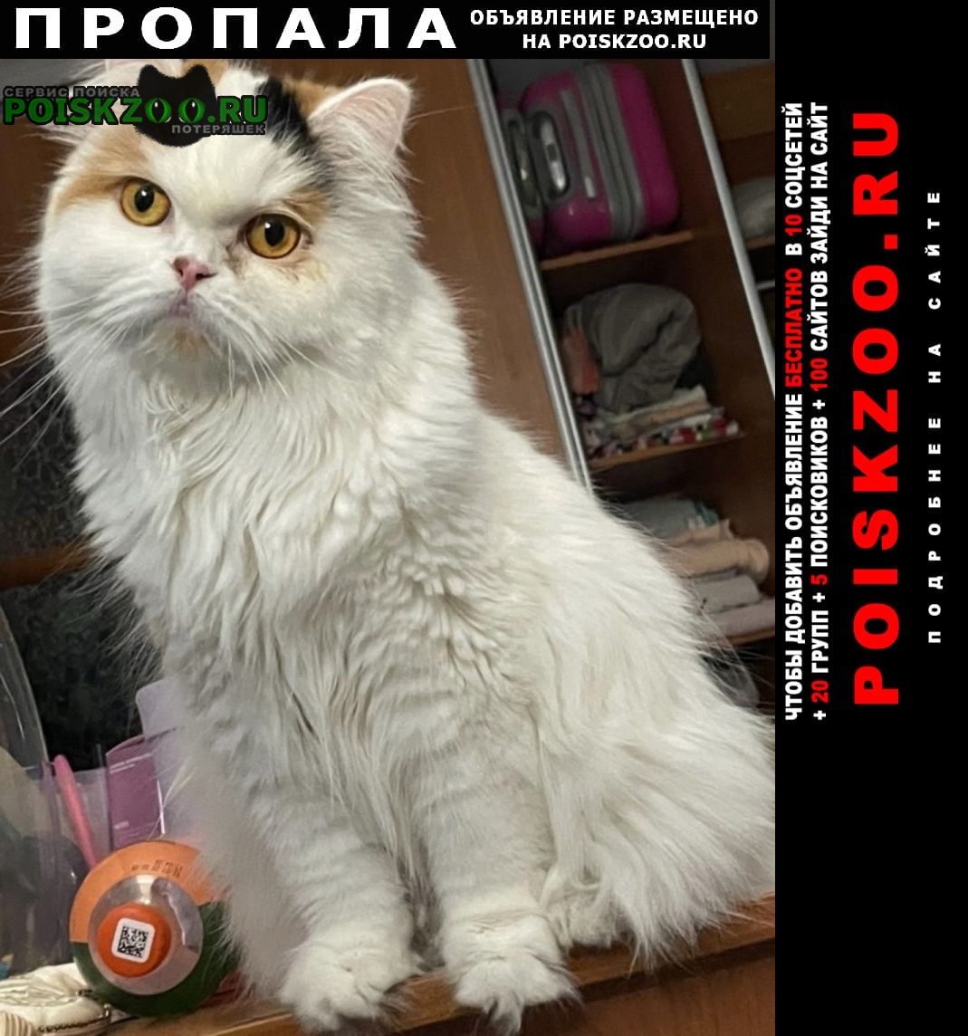 ���� ������� �����